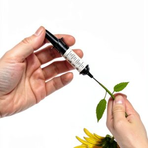 Gatekeeper Press Vaccinations Health eBook English Language-0