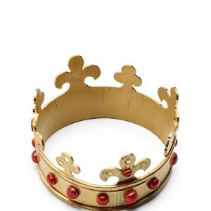 The Accursed Kings Medieval Historical Fiction Kindle Book-0