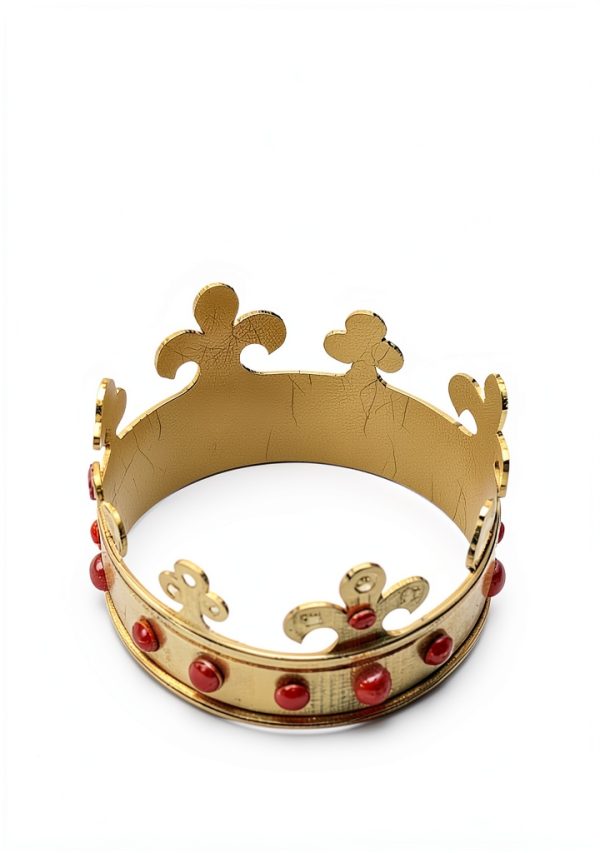 The Accursed Kings Medieval Historical Fiction Kindle Book-0