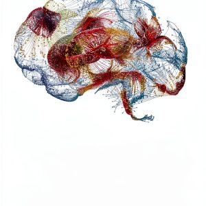 Oxford University Press Legal Education Kindle Book Civil-0